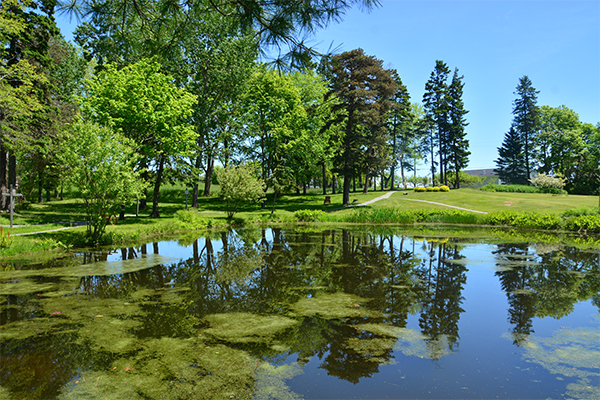 St. Theresa's Garden